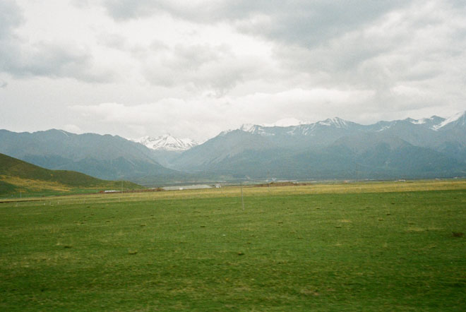 Qinhai-tibet grassland at 3500 m's height