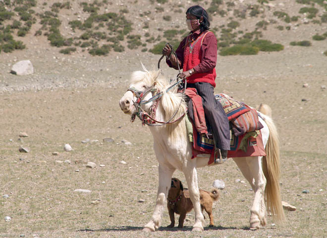 a Tibetan shepherd woman