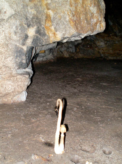 A Cave Mushroom
