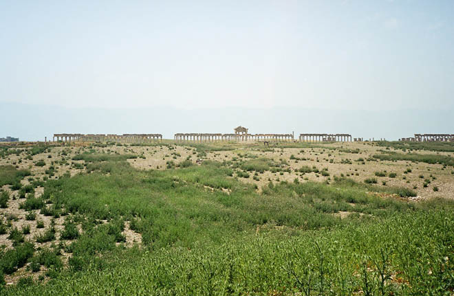 the Colonnade of Apamea