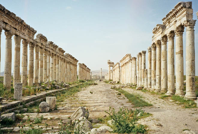 the colonnade